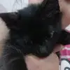 Maia Castillo - @maia.castillo64 - TikTok