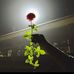 Maya Khan - Facebook