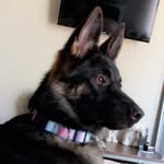maia 🐾 - @_maia.downs_ - Instagram