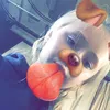 Maia Edwards  - @maife02 - TikTok