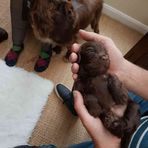 Maia Hall - Facebook