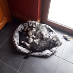Maia Higgins - Facebook
