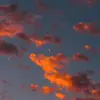 maia - @maia.king2 - TikTok