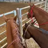 Maia Mayer - @maiamayer20 - TikTok