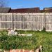 Maia Meadows-Wood - Facebook