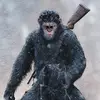 🦍Caesar🦍 - @maiaolson17 - TikTok