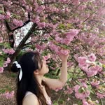 Thanh Mai - @maia_pham - Instagram