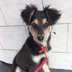 Maia Ramirez - Facebook