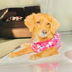 MAIA RIVERA🐾 - @maiabebe_ - Instagram