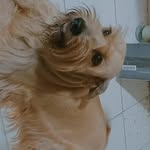 Maia Rivera - @maia.rivera.904 - Instagram