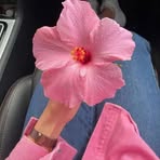 Maia Rocha - Facebook