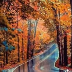 Maia Ross - Facebook