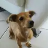 Maia Sanchez - @maia_is_savage - TikTok