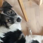 Mai Amlund Schultz - @mai_a.schultz - Instagram