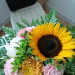 Maia Schultz Pedersen - Facebook