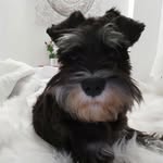 Maia Serrano Zavaleta - @maianegrita - Instagram