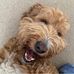 Maia Shaw - Facebook