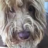 maiasutton907 - @maiasutton907 - TikTok