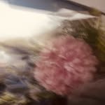 maia terry :) - @cactus33533 - Instagram