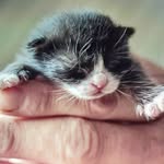 Maia Watson, Tigga Watson - @maia.and.tigga - Instagram