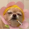 Maia Wise - @labellamaia - TikTok