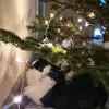 Maija - @maijap13 - TikTok