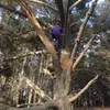 maikel_andre_lt - @maikel_andre_lt - TikTok