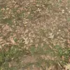 Mainor escobar - @mainor1050 - TikTok