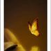 Maira Cornejo - Facebook