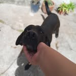 Maira Cornejo - @maira.cornejo.127 - Instagram