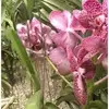 Maira_espinal - @maira_espinal - TikTok