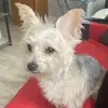 Maira - @maira.espinal - TikTok
