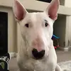 Mairasmith00 - @mairasmith00 - TikTok