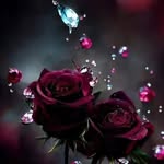 মাইসা খাতুন - @maisha___love - Instagram