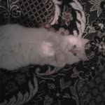 maisha rashid - @maisharashid76 - Instagram