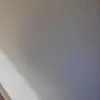 Maisha Rashid  - @maisharashid19 - TikTok