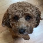 Maisie Bean - @maisiebean_karson - Instagram