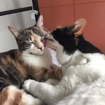 maisie bean & sophie grey - @maisieandsophie - Instagram