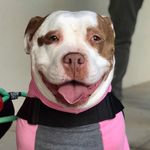 Maisie Beans - @maisie_beans - Instagram