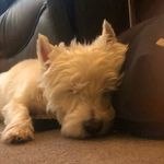 Maisie debbie fields - @maisiefields2009 - Instagram