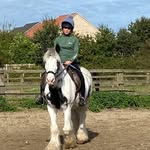 Just a girl who loves horses called maisie - @maisie_manning_ - Instagram