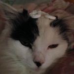 Maisie_Marks - @masiemarks - Instagram