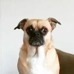 @maisie_smalls_ - Instagram