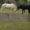 Maisie_xoxo_sutton - @maisie_xoxo_sutton - TikTok
