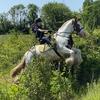 Maisie walker - @maisie_horses - TikTok