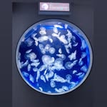 Maison Chen - @chen.maison - Instagram