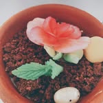 Maison poke CHEN - @maison_poke - Instagram