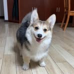 Mason Chen - Facebook