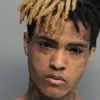 Maison Cooper - @maison.cooper8 - TikTok