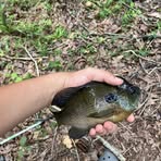 Mason Cox - Facebook